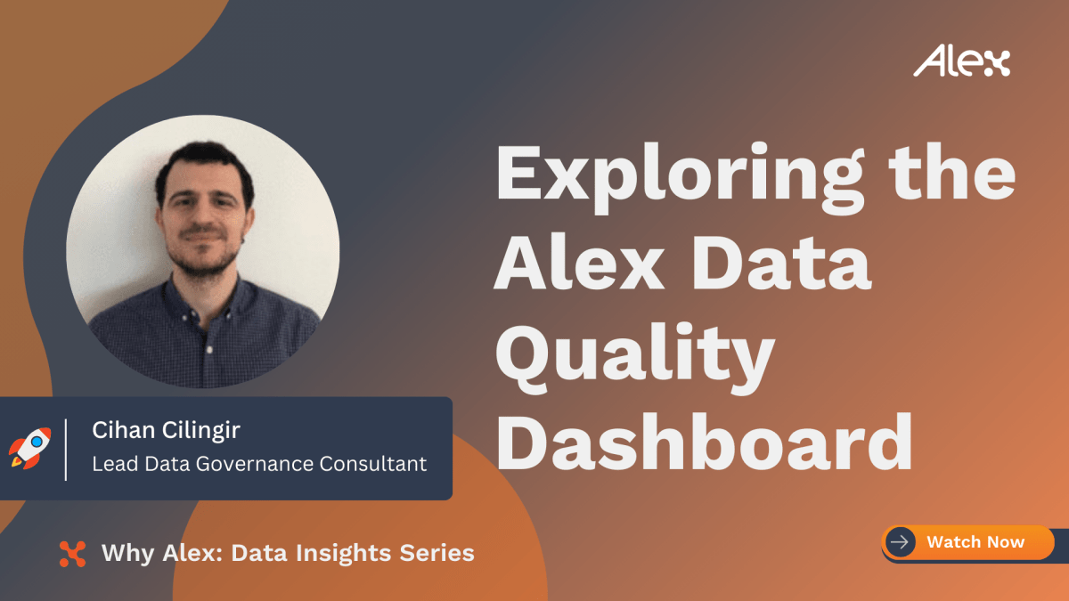 Alex Data Quality Dashboard Showcase - Alex Solutions